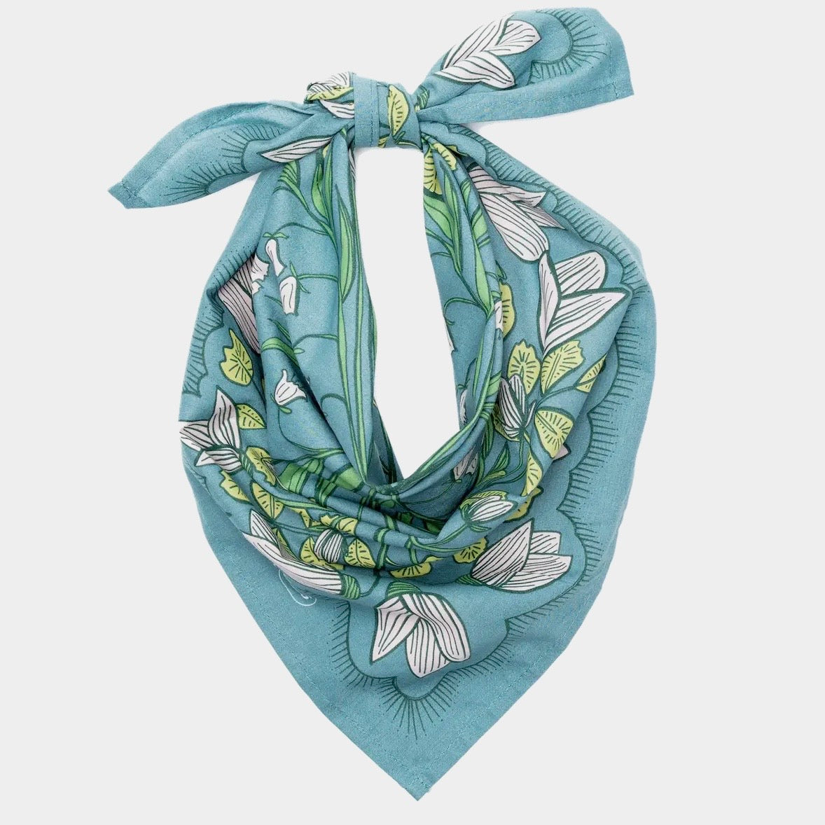 cassie bandana