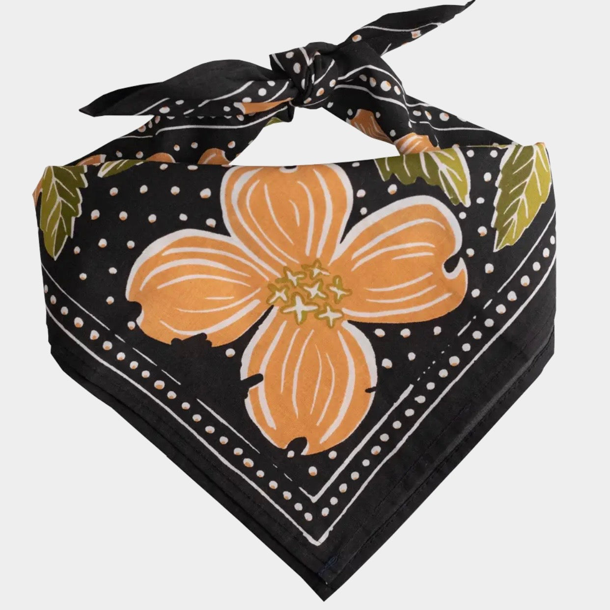 amy bandana