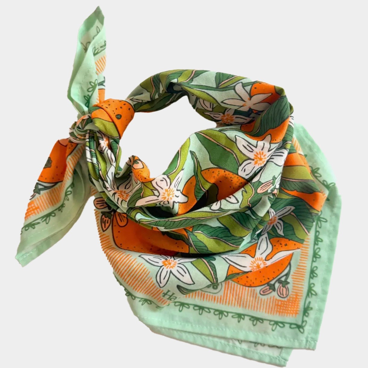 zoe bandana